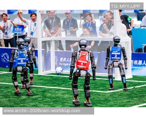 花式足球高手的精彩技艺与背后故事揭秘,带你领略足球的无限魅力与创意之美