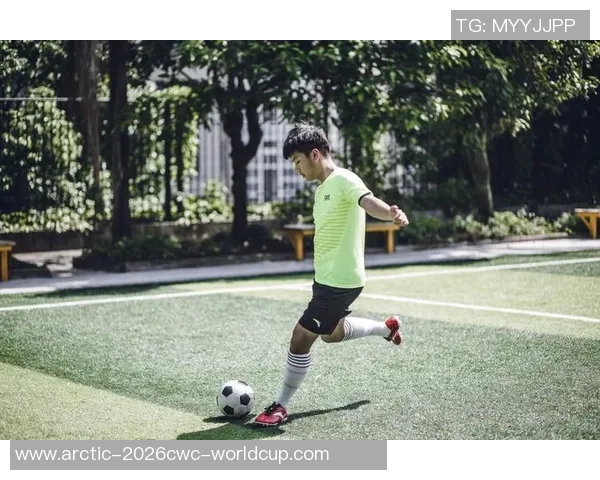 足球小将奔向明日的梦想与拼搏之路,青春与热血交织的足球故事